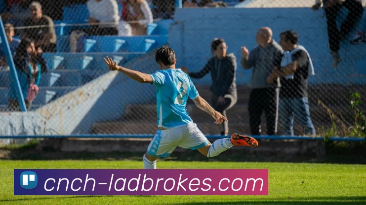 App Interface Preview