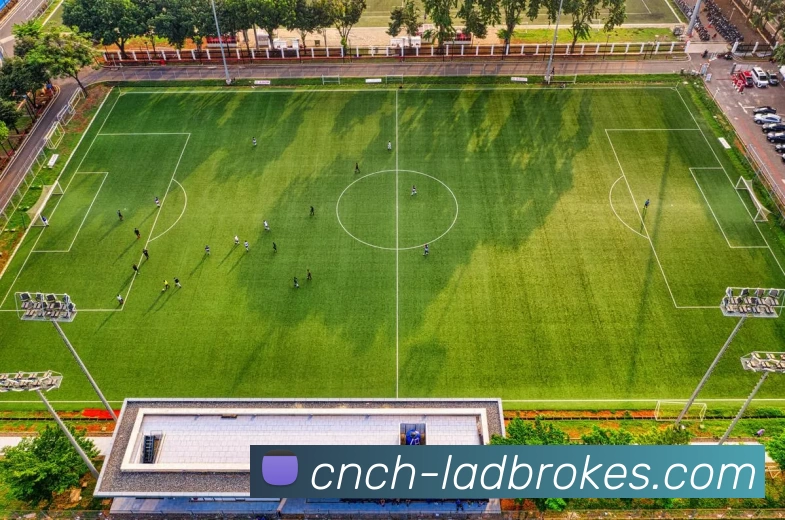 立博ladbrokes体育APP 封面图